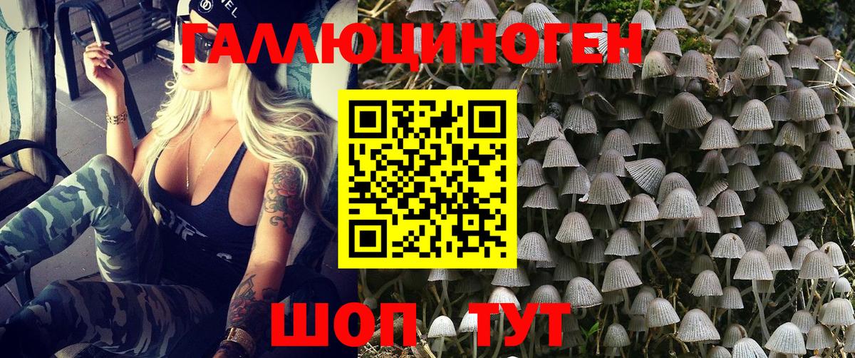 Псилоцибиновые грибы мухоморы Миасс